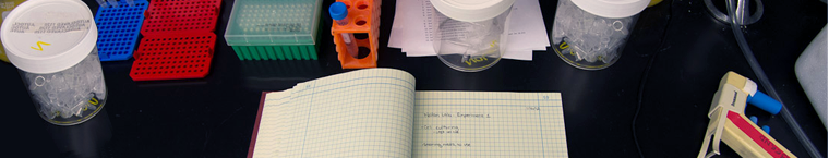 Stanford Biosciences lab bench from above