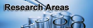Research Areas 