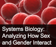 systems biology picture