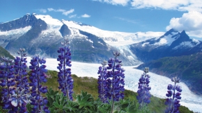 Mendenhall Glacier