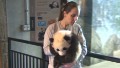 Panda cub gets shock of her life