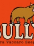 Cover image of Bully