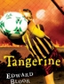 Cover image of Tangerine