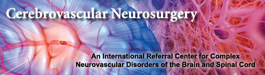 Cerebrovascular Neurosurgery