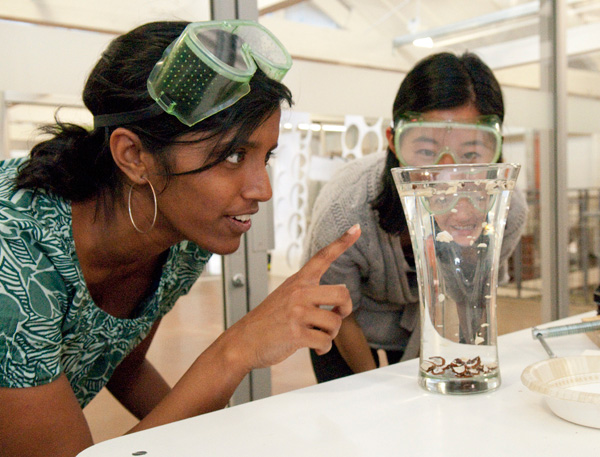 Co-term grad student Indu Premakumar and GSB student Joy Sun work on a project to develop a tool for more efficiently processing candle nuts for their 'Design for Extreme Affordability' class. 