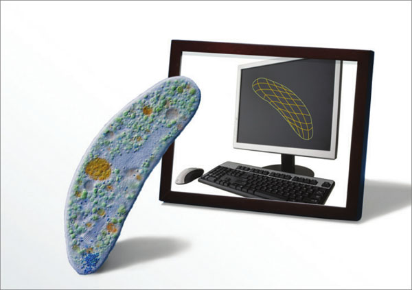 Illustration of Mycoplasma genitalium and computer