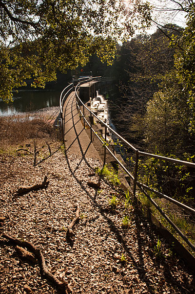 Searsville Dam