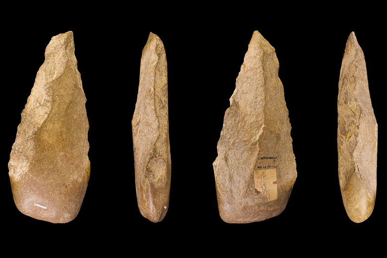 Four views of an Acheulean handaxe. Photo: Didier Descouens/Wikipedia