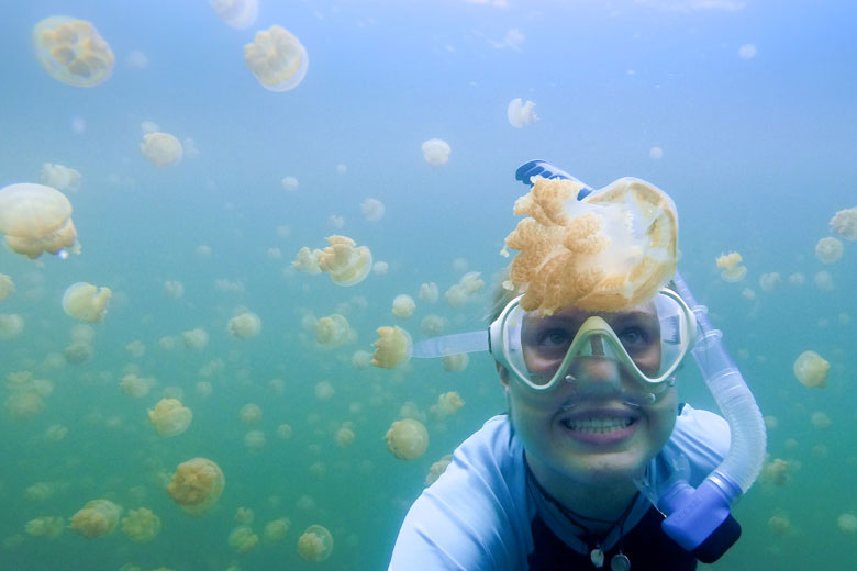 student Meghan Shea diving with jellyfish in the Pacific / Meghan Shea
