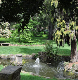 Hidden between Tresidder Union and Lomita Drive are the quiet and serene Kingscote Gardens--home to a four-story apartment building and an intimate garden with two ponds. (Courtesy of Godfrey DiGiorgi)