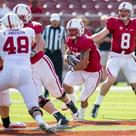 After returning from minor league baseball, senior running back Tyler Gaffney (25) first took snaps from Kevin Hogan (8) in front of fans at the Cardinal & White Spring Game. Gaffney impressed in second public appearance on Saturday, converting two fourth downs in an open scrimmage. (BOB DREBIN/StanfordPhoto.com)