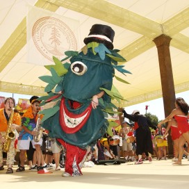 The Tree is an integral part of traditions on the Farm. (Courtesy of Linda A. Cicero/The Stanford Daily)