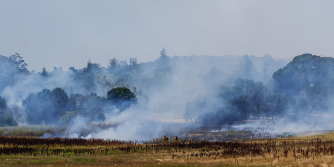Fire in Lake Lagunita causes evacuations in Narnia, Enchanted Broccoli Forest