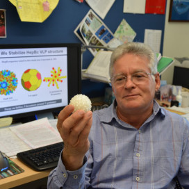 Professor James Swartz holds an enlarged replica of a virus-like particle. Swartz and his team have re-engineered a virus to deliver therapies to cells.
(Stanford News Service, Linda Rice)