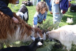 A zoo visits The Farm, Mikaela Berkeley and Tiffany Ong