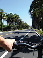 biking on Palm Drive