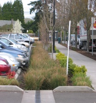 Green landscaping in a parking lot