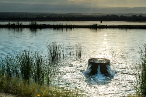 Groundwater recharge pond - Coachella, CA
