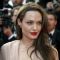 Angelina Jolie shines at the 2009 Cannes Film Festival