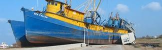 image of large boats beached