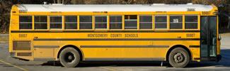 School bus