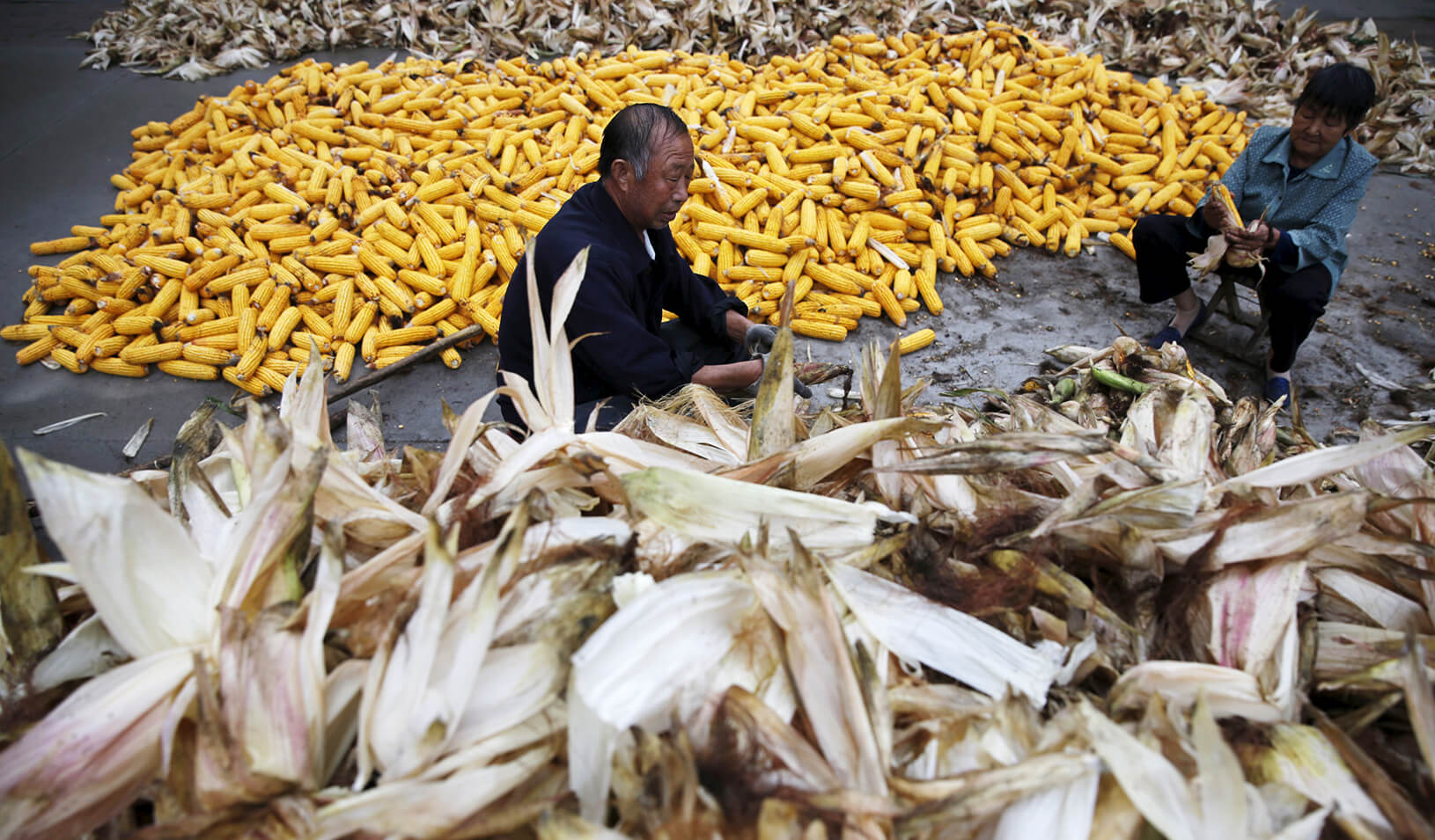 Farmers husk corn at a farm village in China. | Reuters/Kim Kyung-Hoon