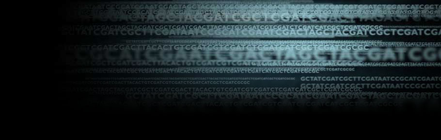 Image of genetic code