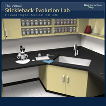 Stickleback Evolution Virtual Lab