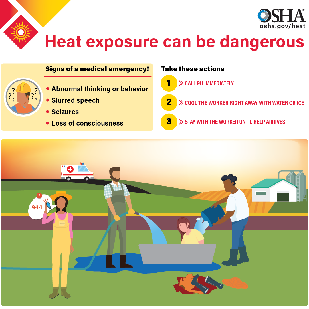 Heat Illness Medical Emergency infographic in English