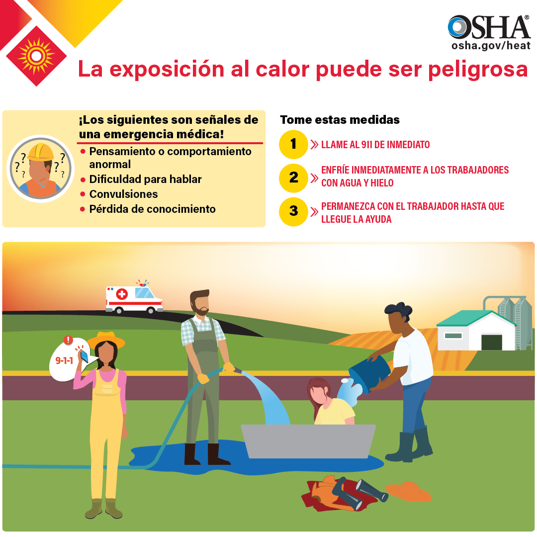 Heat Illness Medical Emergency infographic in Spanish