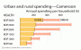 Cameroon: Urban and Rural Spending on Health Care