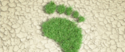 photo of green grass footprint on barren earth
