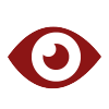 icon of eye