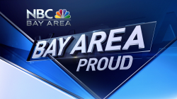 Bay Area Proud logo