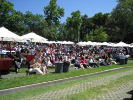 Springfest attendees and seating