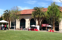 Wellness Fair activities outside Arrillaga Center for Sports & Recreation, including a horse petting station