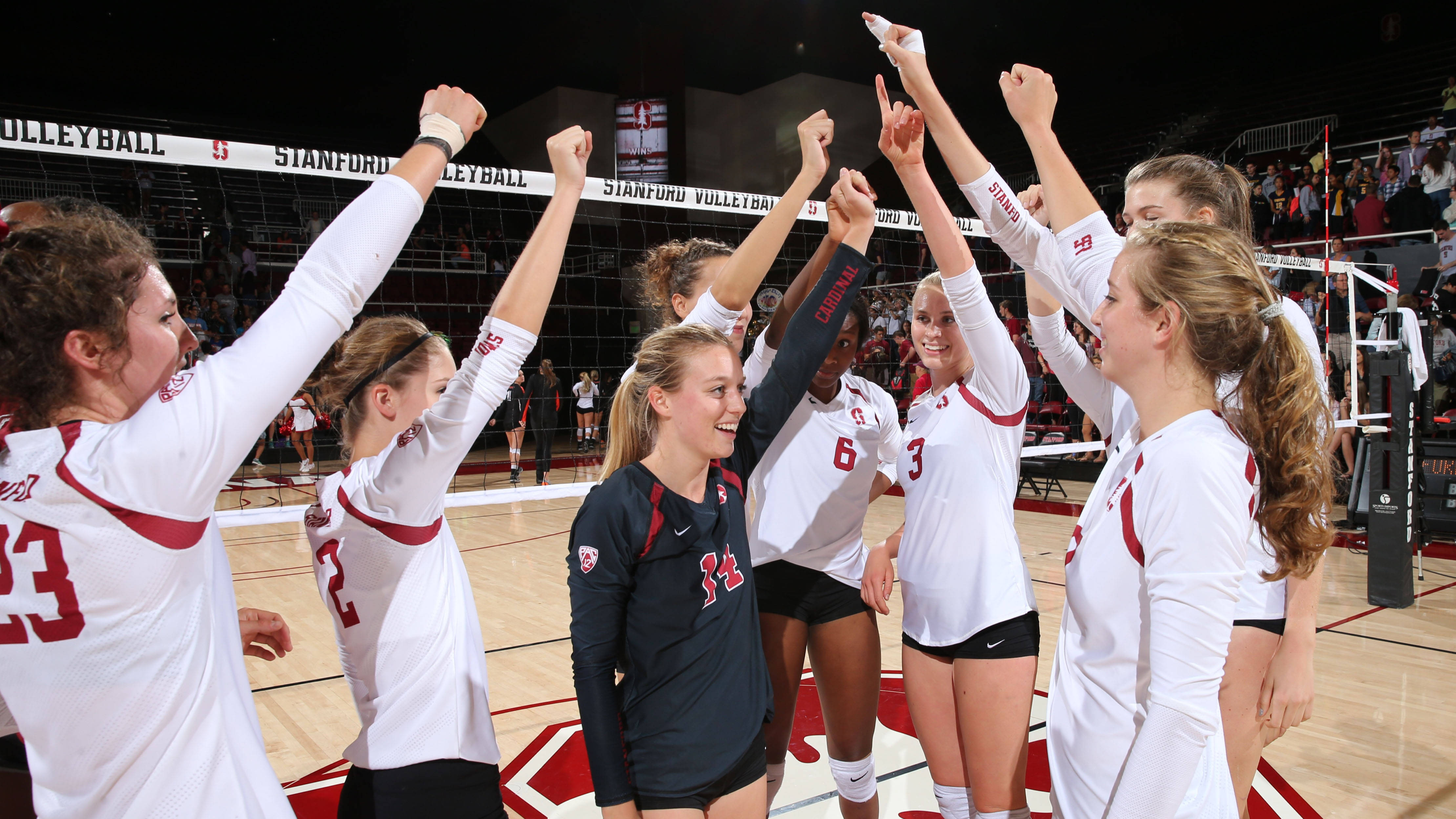 Stanford Aces Saint Mary's