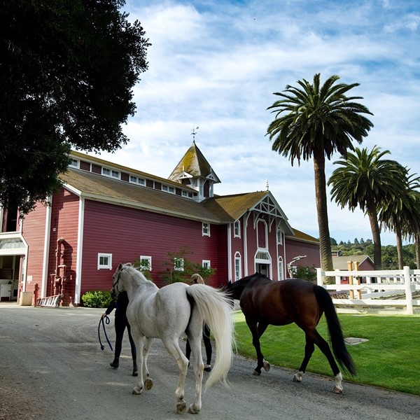 Red Barn