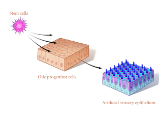 Steam Cell Therapy