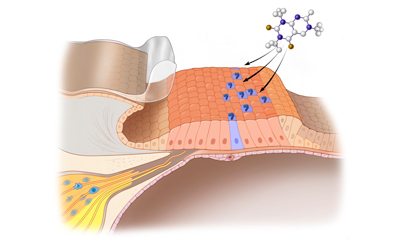 molecular therapy