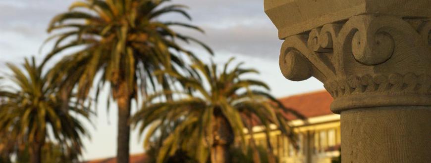 Image of Stanford buildings and palm trees