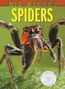 Cover of Spiders