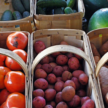 Economics (photos of vegetables in bins by gregw, Flickr).
