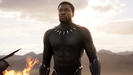 Twitter: 'Black Panther' Is Most Tweeted About Movie Ever