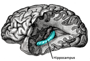 NeuWrite West, Stanford Neurosciences Institute