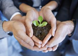 Seed Grants, Stanford Neurosciences Institute