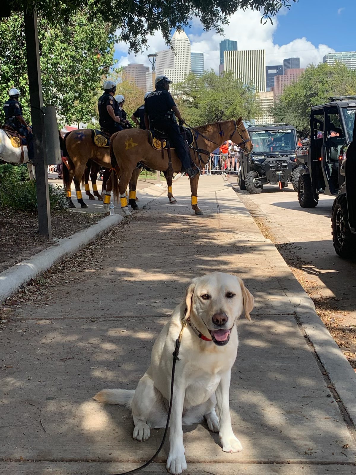 ATF Houston was proud to join our law enforcement partners at today's @astros #WorldSeries  victory parade. @ATFHou is helping keep the public safe on and off the route.