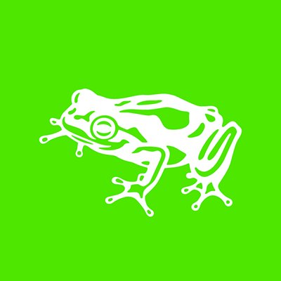 frog design