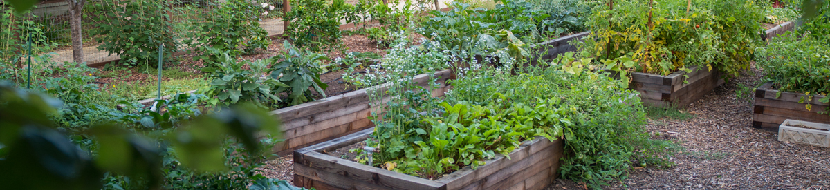 BeWell sustainable garden