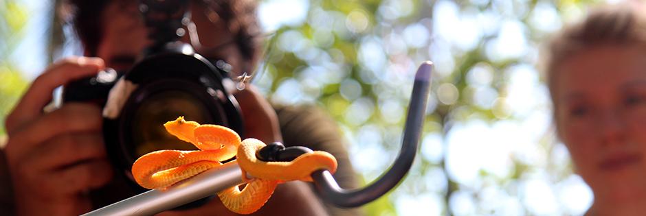 A snake on a branch at a BOSP seminar.